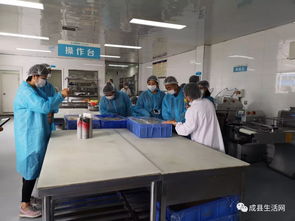 隴南生活網(wǎng)團隊走進成縣優(yōu)點食品廠，探索乳制品背后的匠心與創(chuàng)新